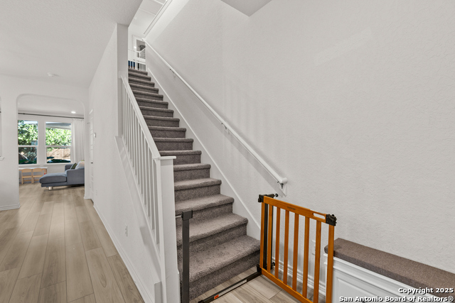 Image 17 of 40 For 5311 Spanish Bluebells