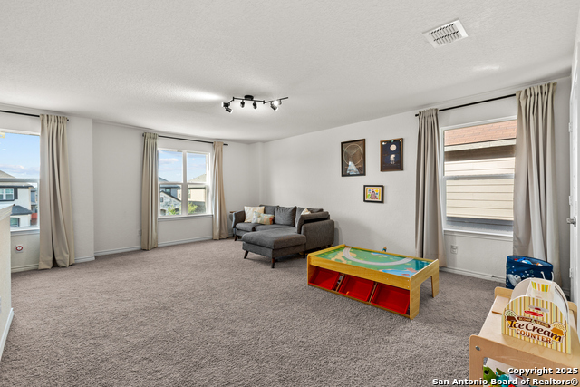 Image 18 of 40 For 5311 Spanish Bluebells