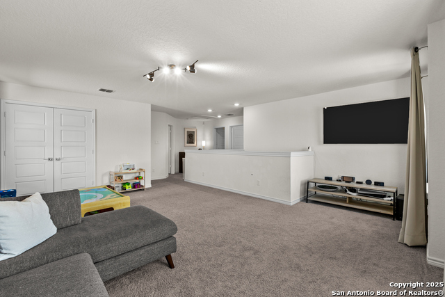 Image 19 of 40 For 5311 Spanish Bluebells