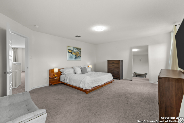 Image 20 of 40 For 5311 Spanish Bluebells