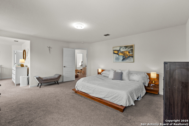 Image 21 of 40 For 5311 Spanish Bluebells