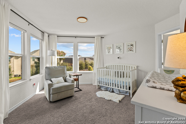 Image 22 of 40 For 5311 Spanish Bluebells