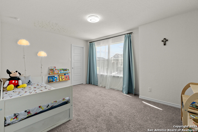 Image 25 of 40 For 5311 Spanish Bluebells