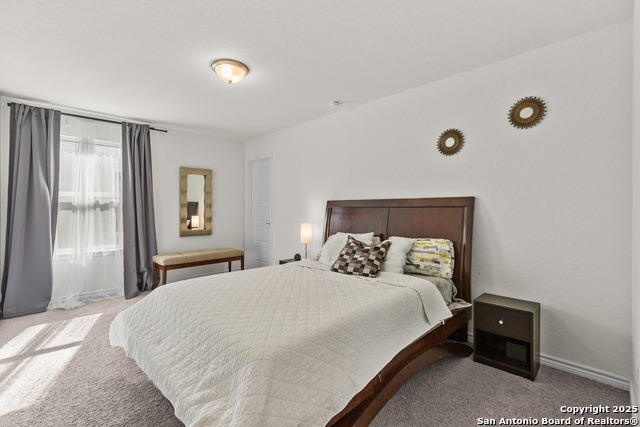 Image 27 of 40 For 5311 Spanish Bluebells