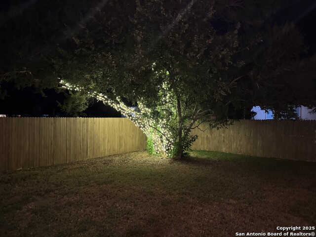 Image 32 of 40 For 5311 Spanish Bluebells