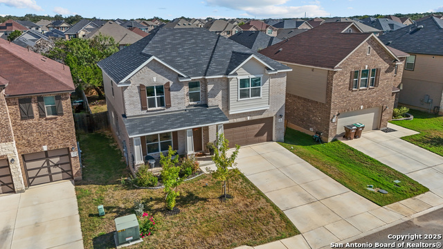 Image 33 of 40 For 5311 Spanish Bluebells