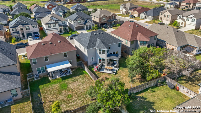 Image 34 of 40 For 5311 Spanish Bluebells