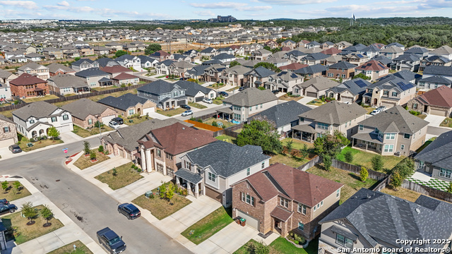 Image 35 of 40 For 5311 Spanish Bluebells