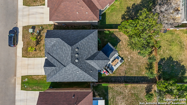 Image 36 of 40 For 5311 Spanish Bluebells