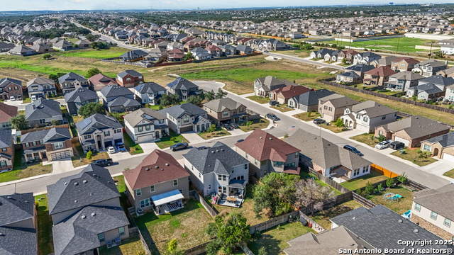 Image 37 of 40 For 5311 Spanish Bluebells