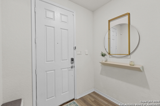 Image 4 of 40 For 5311 Spanish Bluebells