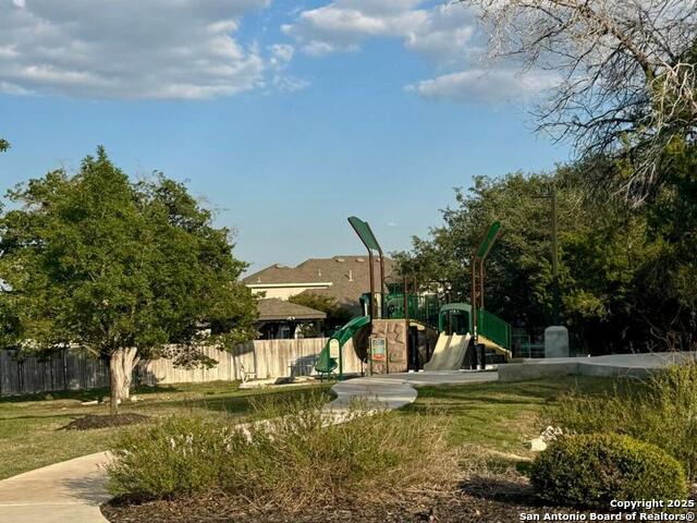 Image 40 of 40 For 5311 Spanish Bluebells