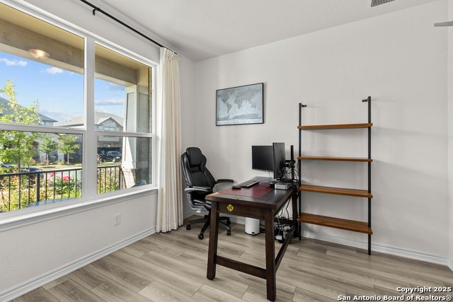 Image 5 of 40 For 5311 Spanish Bluebells