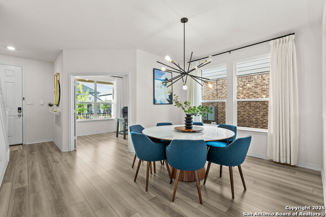 Image 6 of 40 For 5311 Spanish Bluebells