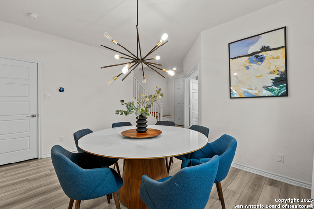 Image 7 of 40 For 5311 Spanish Bluebells