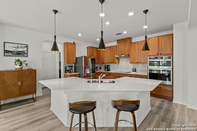 Image 9 of 40 For 5311 Spanish Bluebells