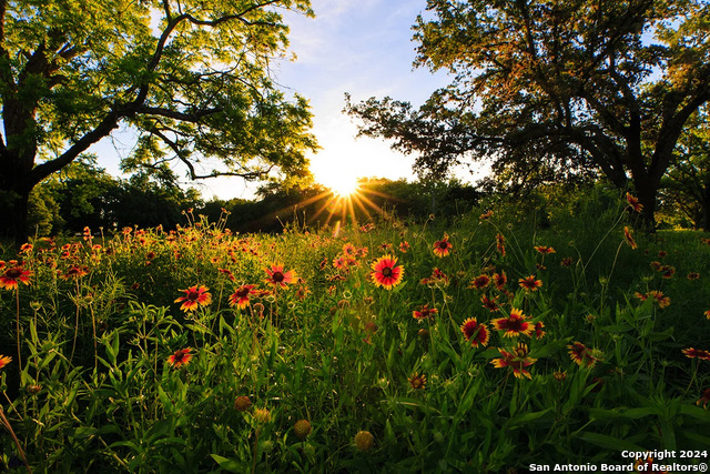 Image 24 of 46 For 5922 Vestige