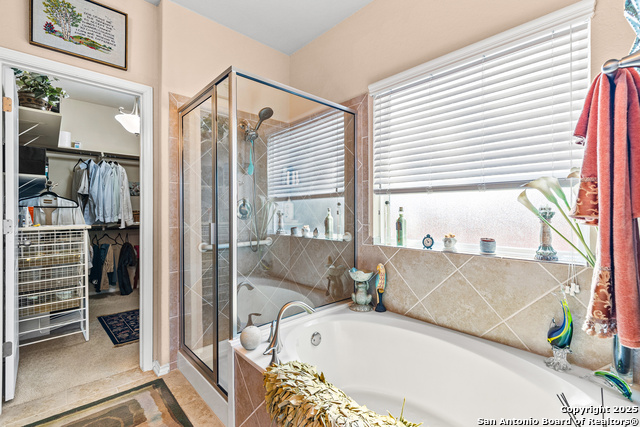 Image 18 of 49 For 10437 Shadowy Dusk