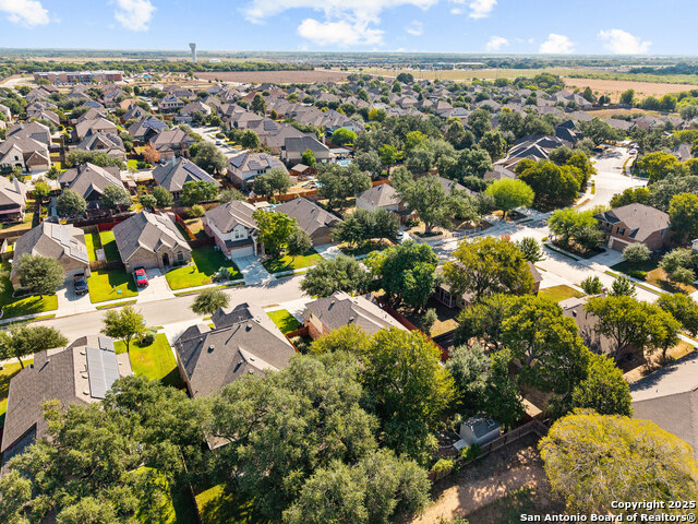Image 38 of 49 For 10437 Shadowy Dusk