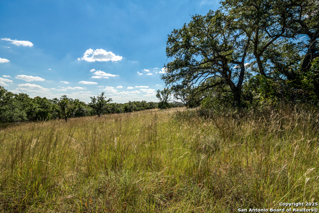 Image 4 of 13 For 190 Fallen Acorn
