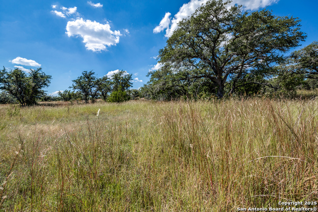 Image 6 of 13 For 190 Fallen Acorn