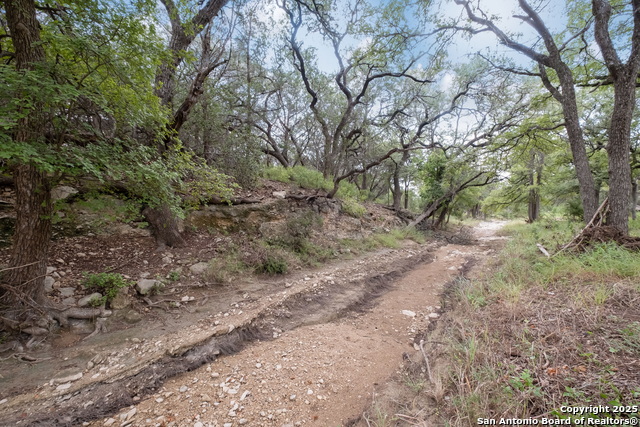 Image 12 of 18 For 1163 Lavaca Dr