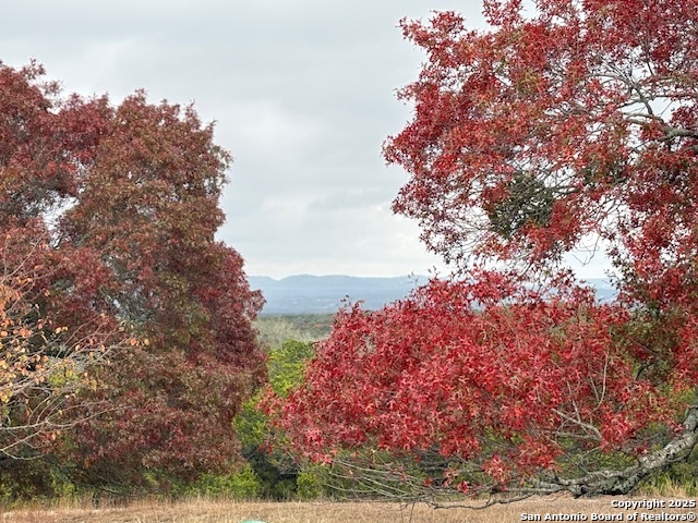 Image 49 of 73 For 204 Majestic Oaks