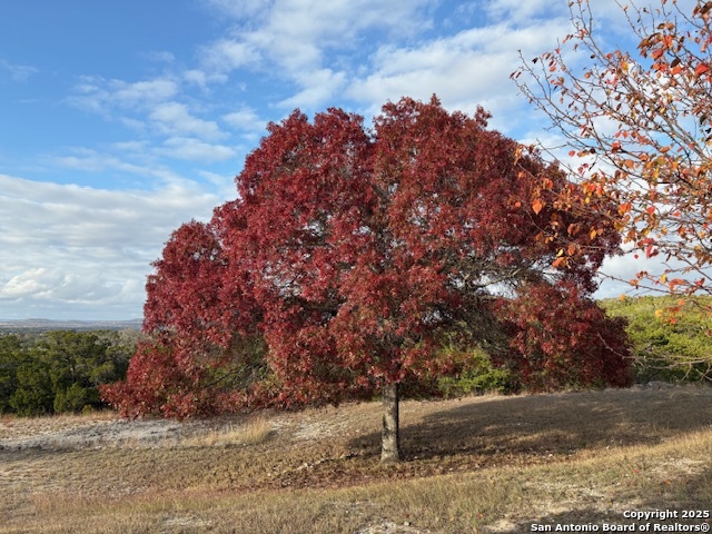 Image 50 of 73 For 204 Majestic Oaks