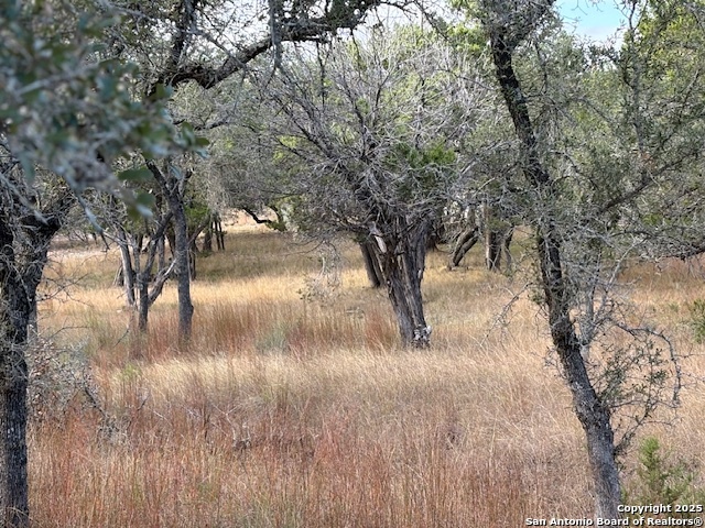 Image 51 of 73 For 204 Majestic Oaks