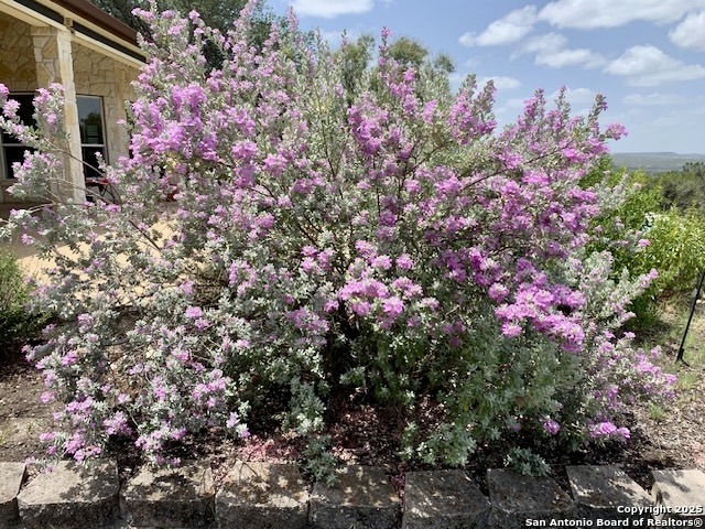 Image 63 of 73 For 204 Majestic Oaks