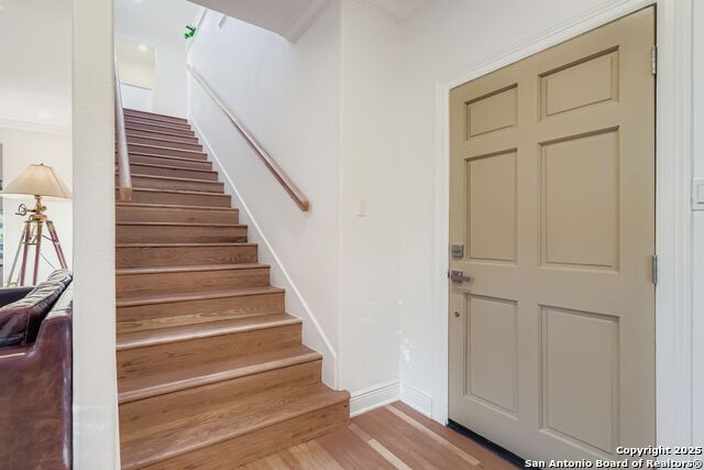 Listing photo id 20 for 211 Elizabeth