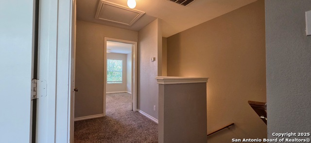 Image 11 of 12 For 7810 Kingsbury Wood  4