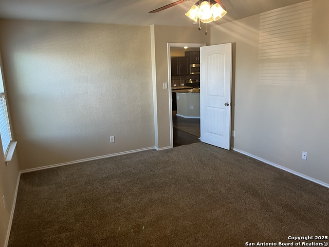 Image 10 of 36 For 1446 Scent Of Basil