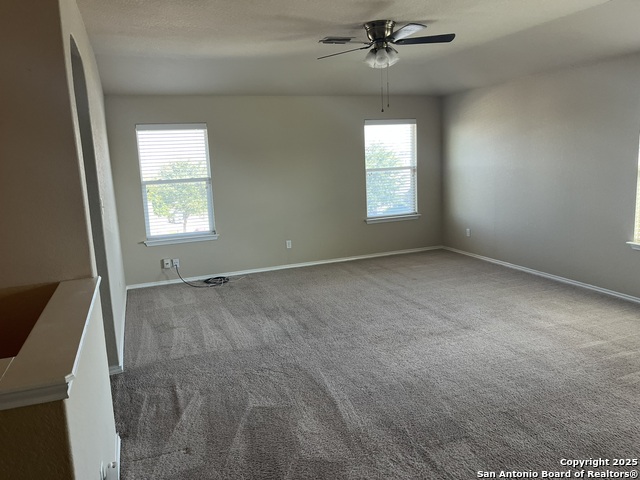 Image 14 of 36 For 1446 Scent Of Basil