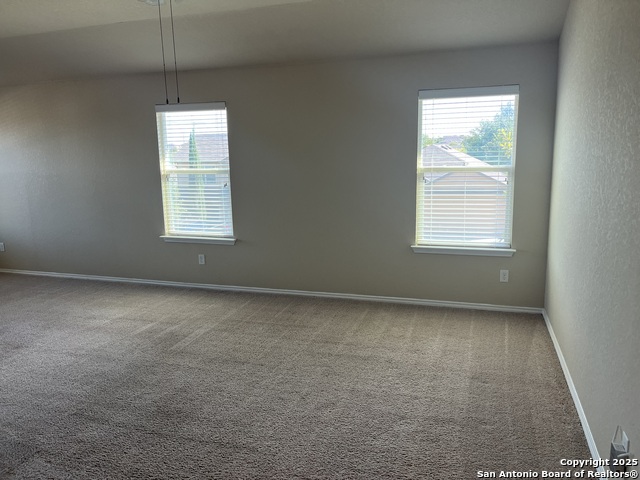 Image 15 of 36 For 1446 Scent Of Basil