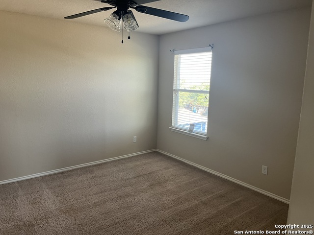 Image 19 of 36 For 1446 Scent Of Basil