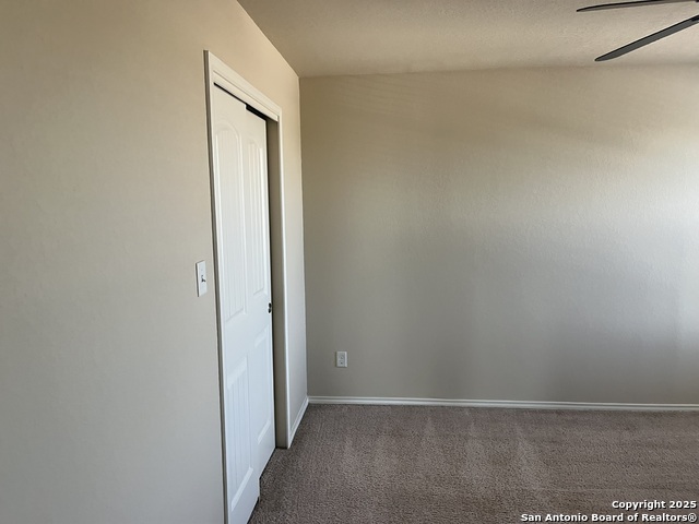 Image 20 of 36 For 1446 Scent Of Basil