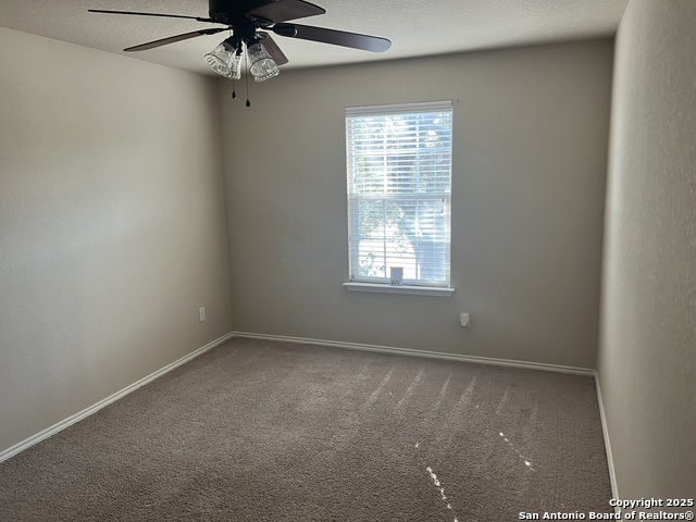 Image 22 of 36 For 1446 Scent Of Basil