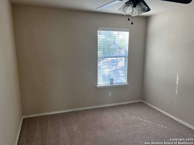 Image 24 of 36 For 1446 Scent Of Basil