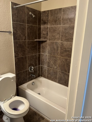 Image 27 of 36 For 1446 Scent Of Basil