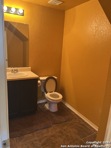 Image 8 of 36 For 1446 Scent Of Basil