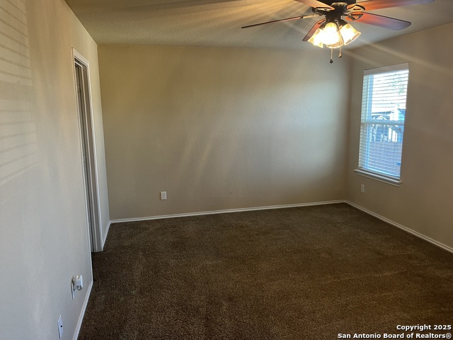 Image 9 of 36 For 1446 Scent Of Basil