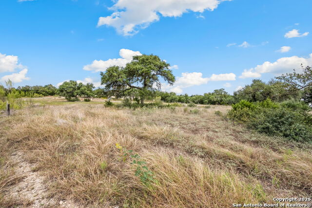 Image 3 of 22 For 1230 Alsace  