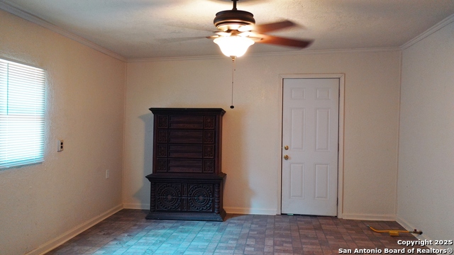 Image 12 of 19 For 7339 Myna Bird