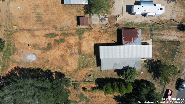 Image 17 of 19 For 7339 Myna Bird