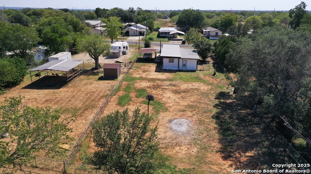 Image 18 of 19 For 7339 Myna Bird