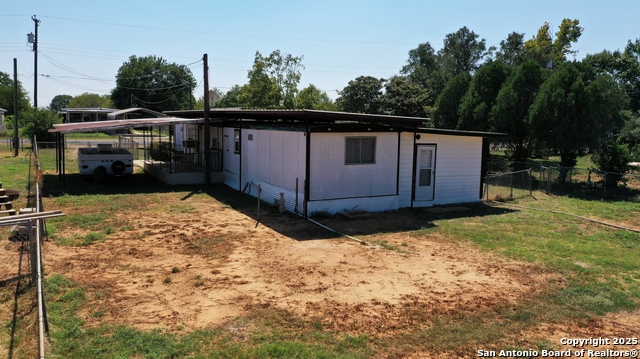 Image 19 of 19 For 7339 Myna Bird