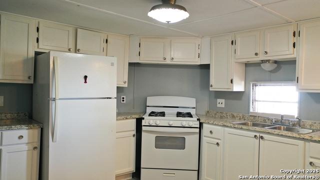 Image 8 of 19 For 7339 Myna Bird