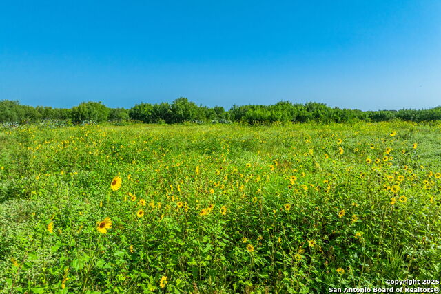 Listing photo id 10 for 3911 County Road 1000