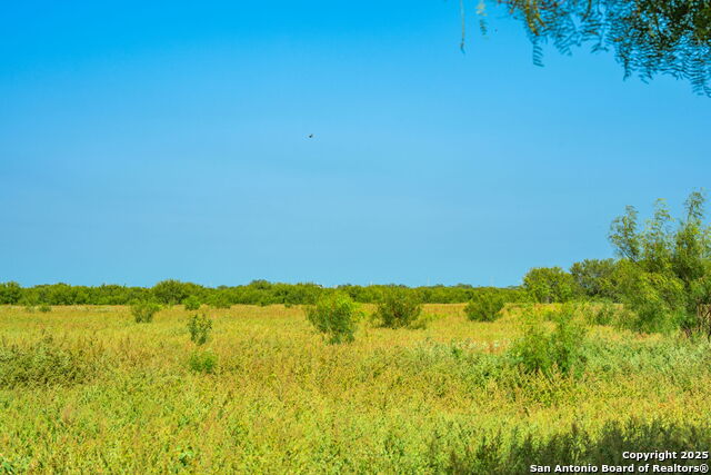 Listing photo id 15 for 3911 County Road 1000